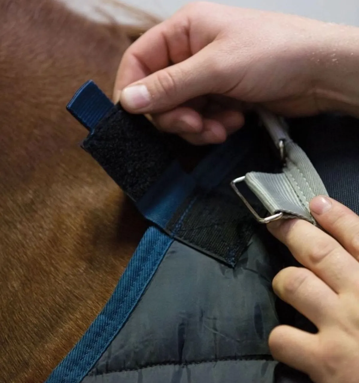 Horseware Ireland Horseware Ponni Liner 300g< Linere