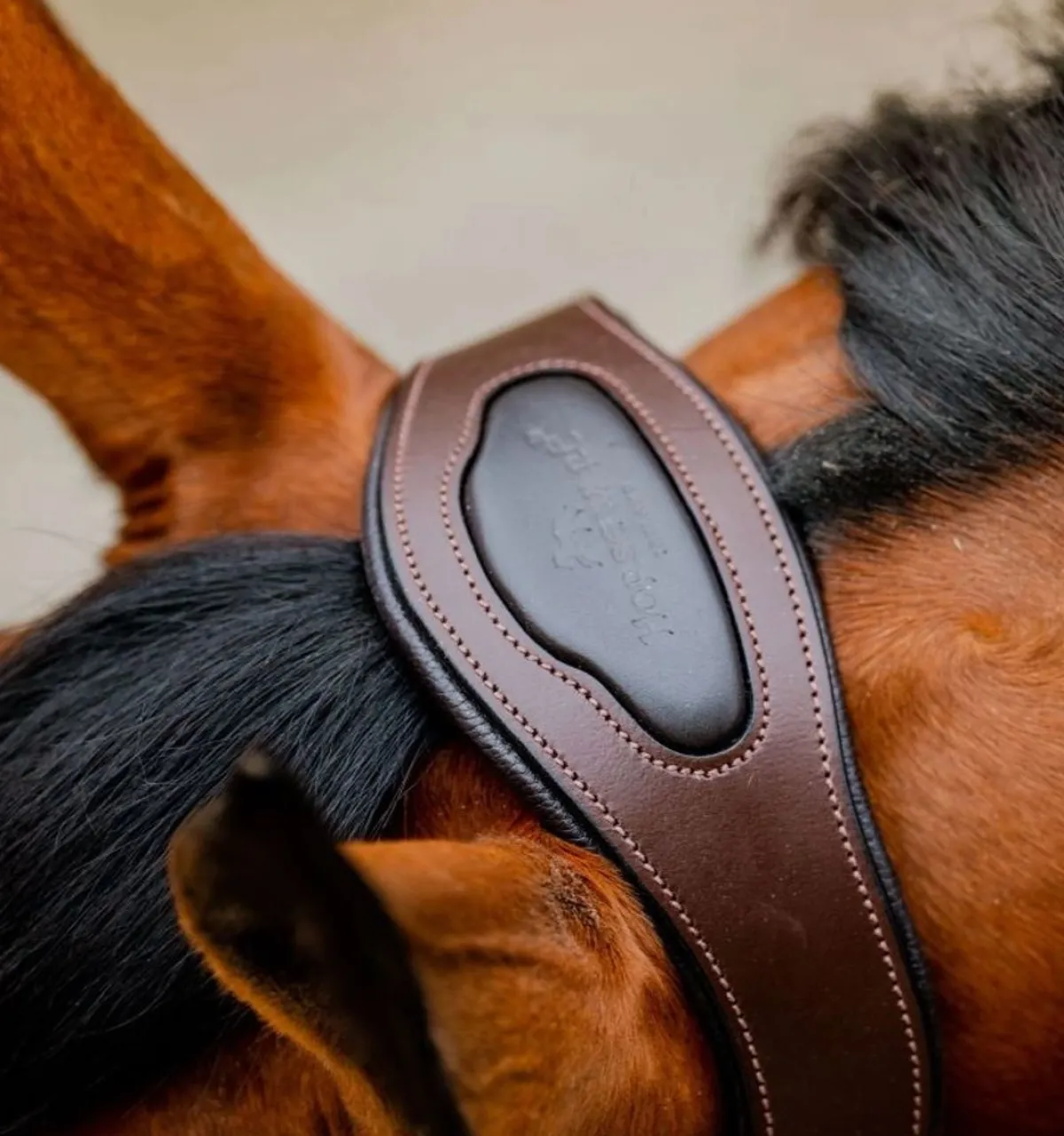 Horseware Ireland Horseware Signature flettet grime - Flere farger< Lærgrimer