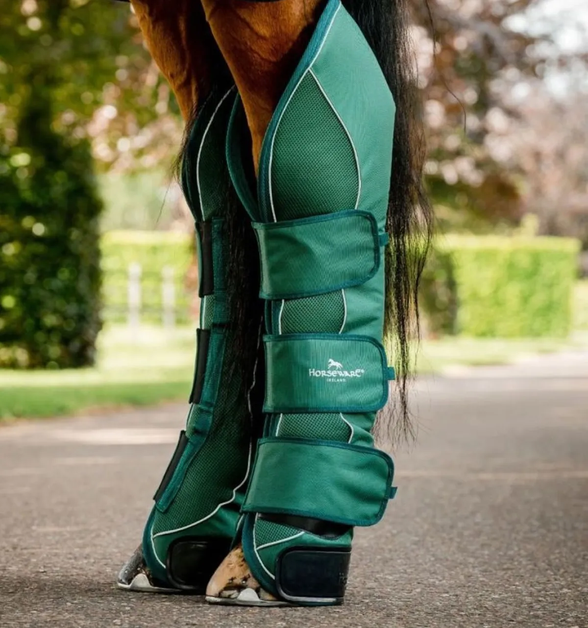 Horseware Ireland Horseware Signature transportbeskyttere - Flere farger< Transport Og Stall