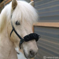 Hrimnir Carmen longering caveson< Longering