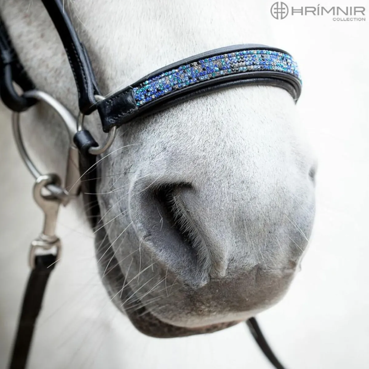 Hrimnir Drop Nesereim - Blue lagoon< Islandshest Hodelag