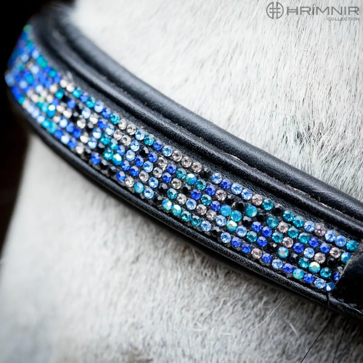 Hrimnir Drop Nesereim - Blue lagoon< Islandshest Hodelag