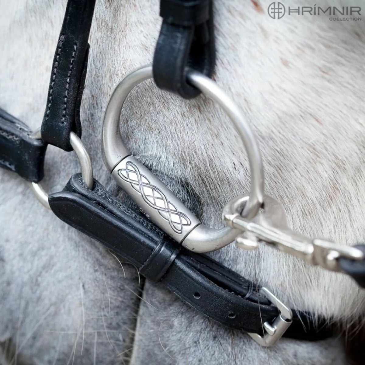 Hrimnir Drop Nesereim - Blue lagoon< Islandshest Hodelag