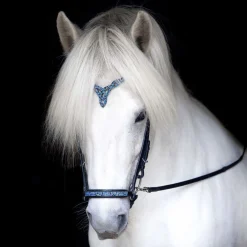 Hrimnir Drop Nesereim - Blue lagoon< Islandshest Hodelag