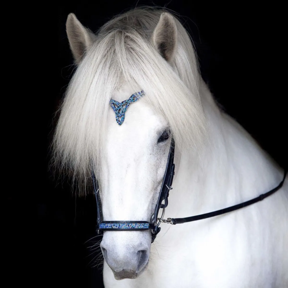 Hrimnir Drop Nesereim - Blue lagoon< Islandshest Hodelag