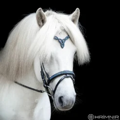 Hrimnir Flash Kombinert Nesereim - Blue Lagoon< Islandshest Hodelag