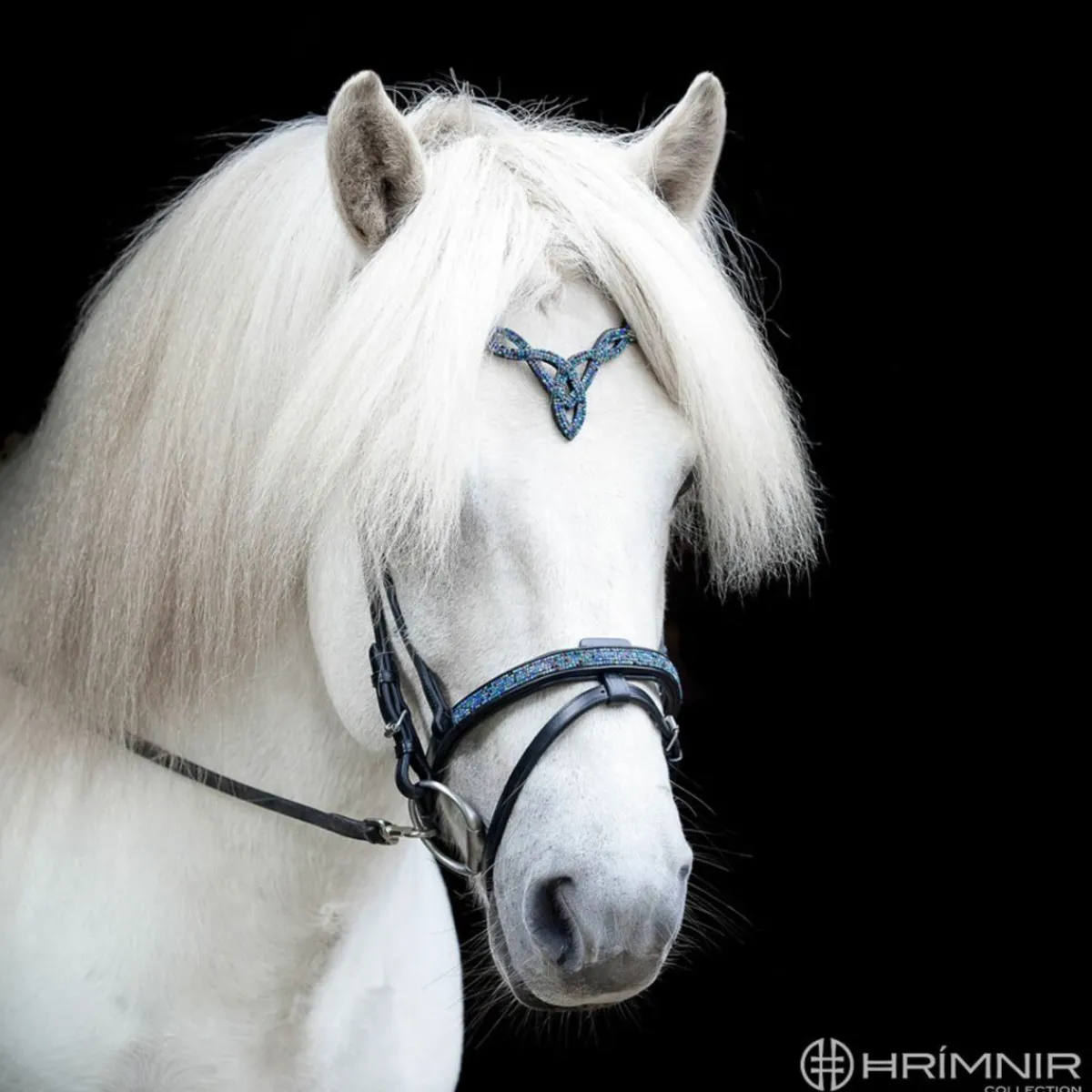 Hrimnir Flash Kombinert Nesereim - Blue Lagoon< Islandshest Hodelag