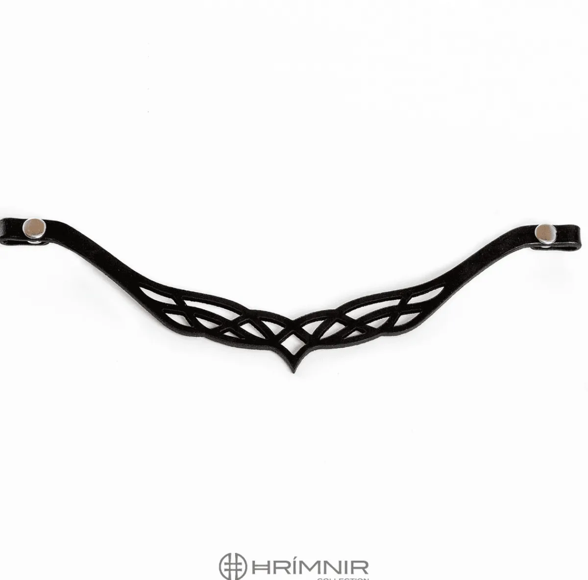 Hrimnir Heritage B Pannereim< Islandshest Hodelag