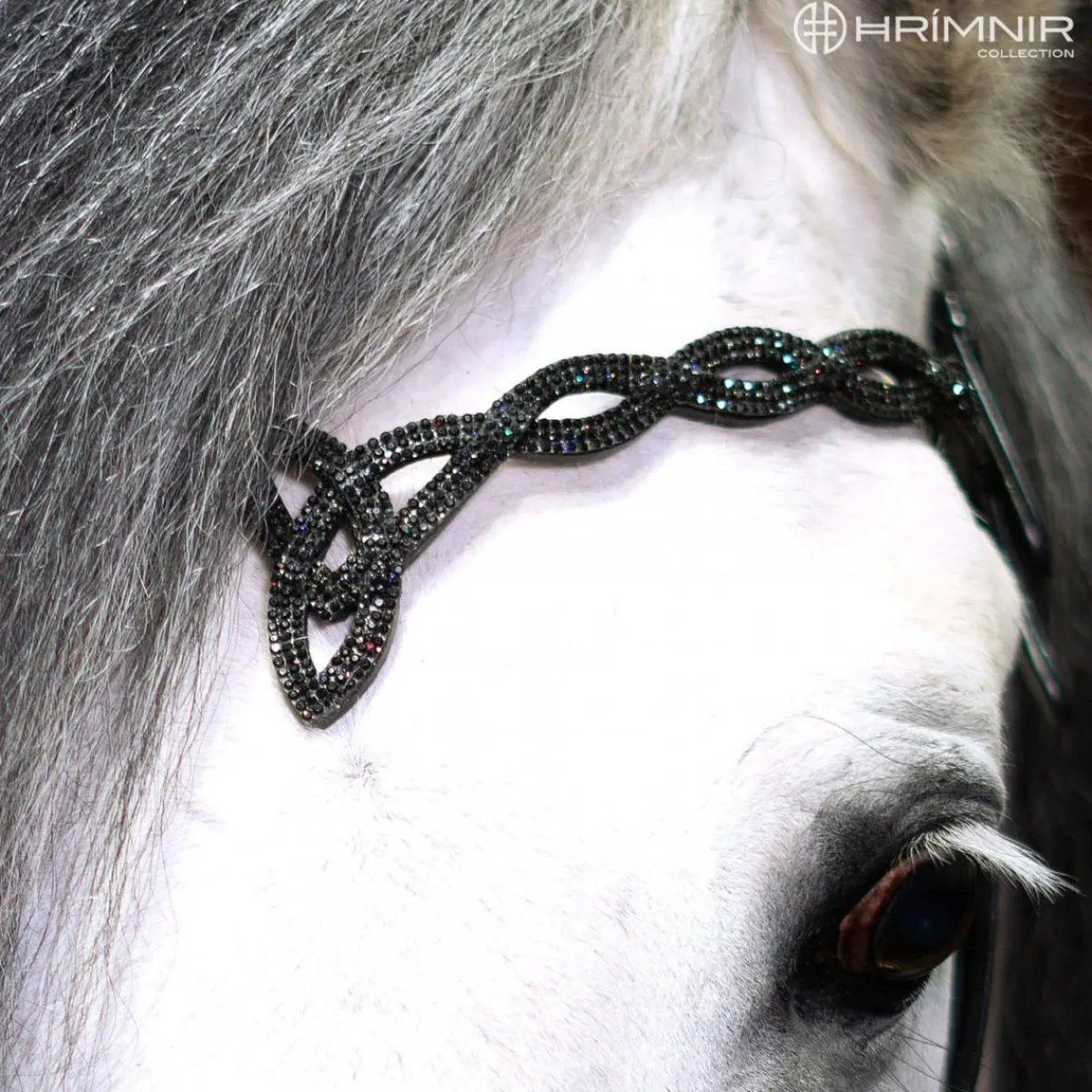 Hrimnir Heritage H - Lava< Islandshest Hodelag