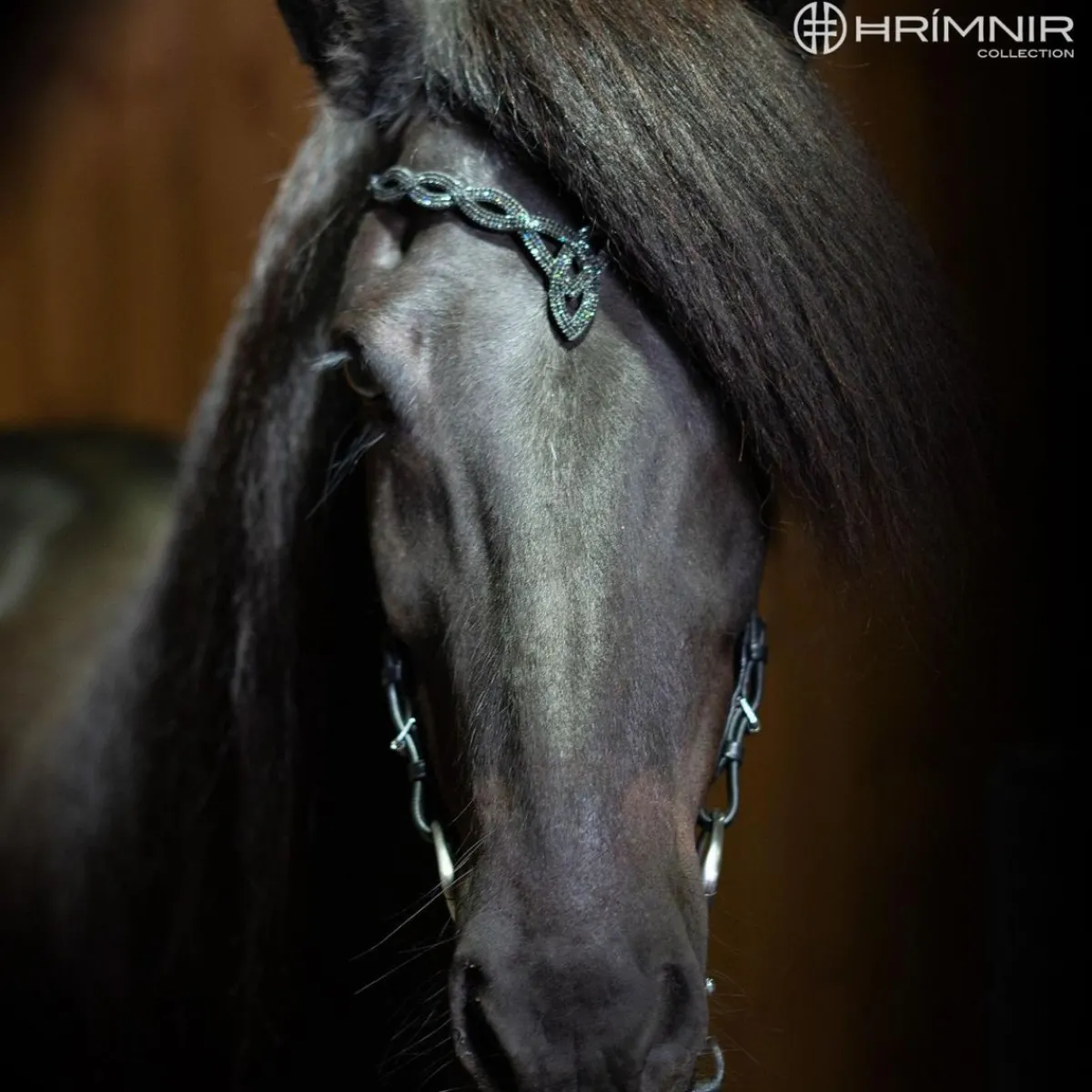 Hrimnir Heritage H - Lava< Islandshest Hodelag