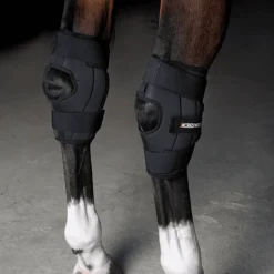 Incrediwear Circulation Hock Boots< Transport Og Stall