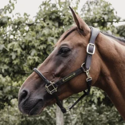 Kentucky Anatomisk grime i Lær< Lærgrimer