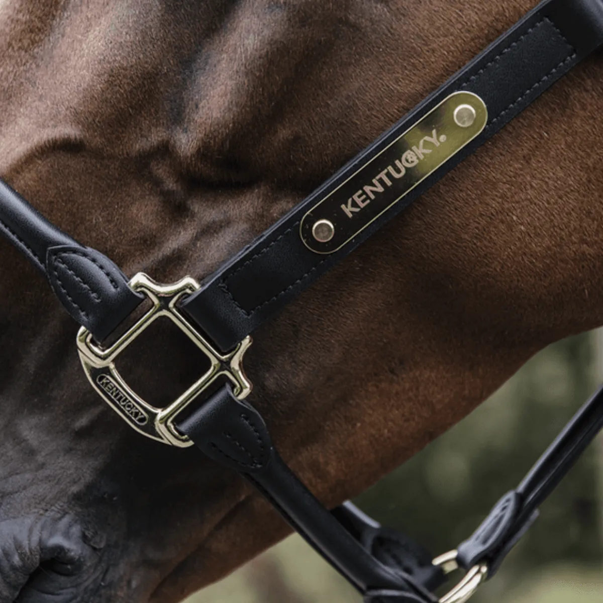 Kentucky Anatomisk grime i Lær< Lærgrimer