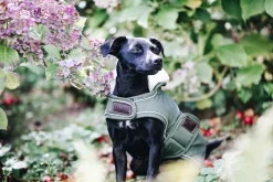 Kentucky Dog Rug Waterproof< Hund