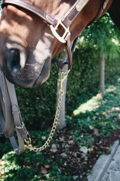 Kentucky Hingstekjede< Tilbehør Til Grimer
