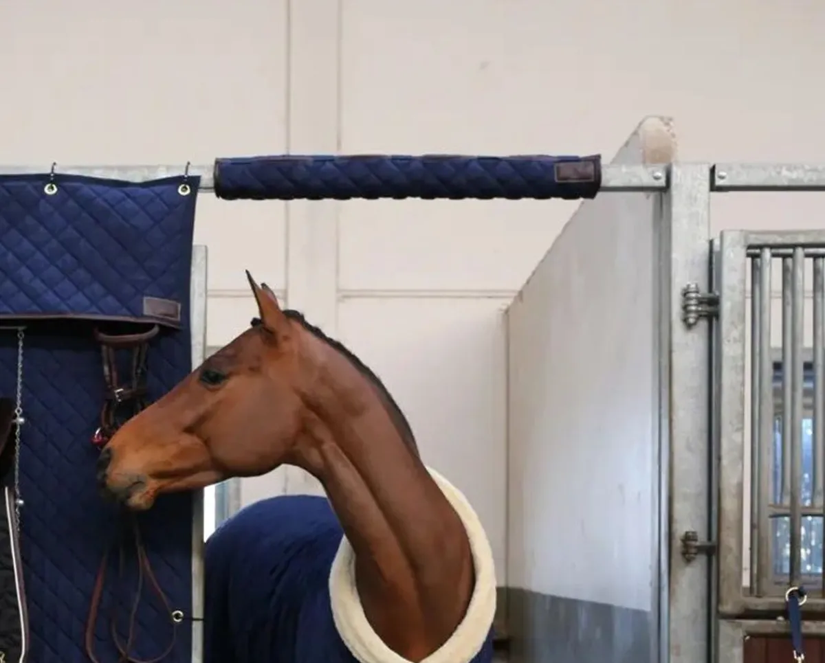 Kentucky Hodebeskytter til boks< Stallutstyr