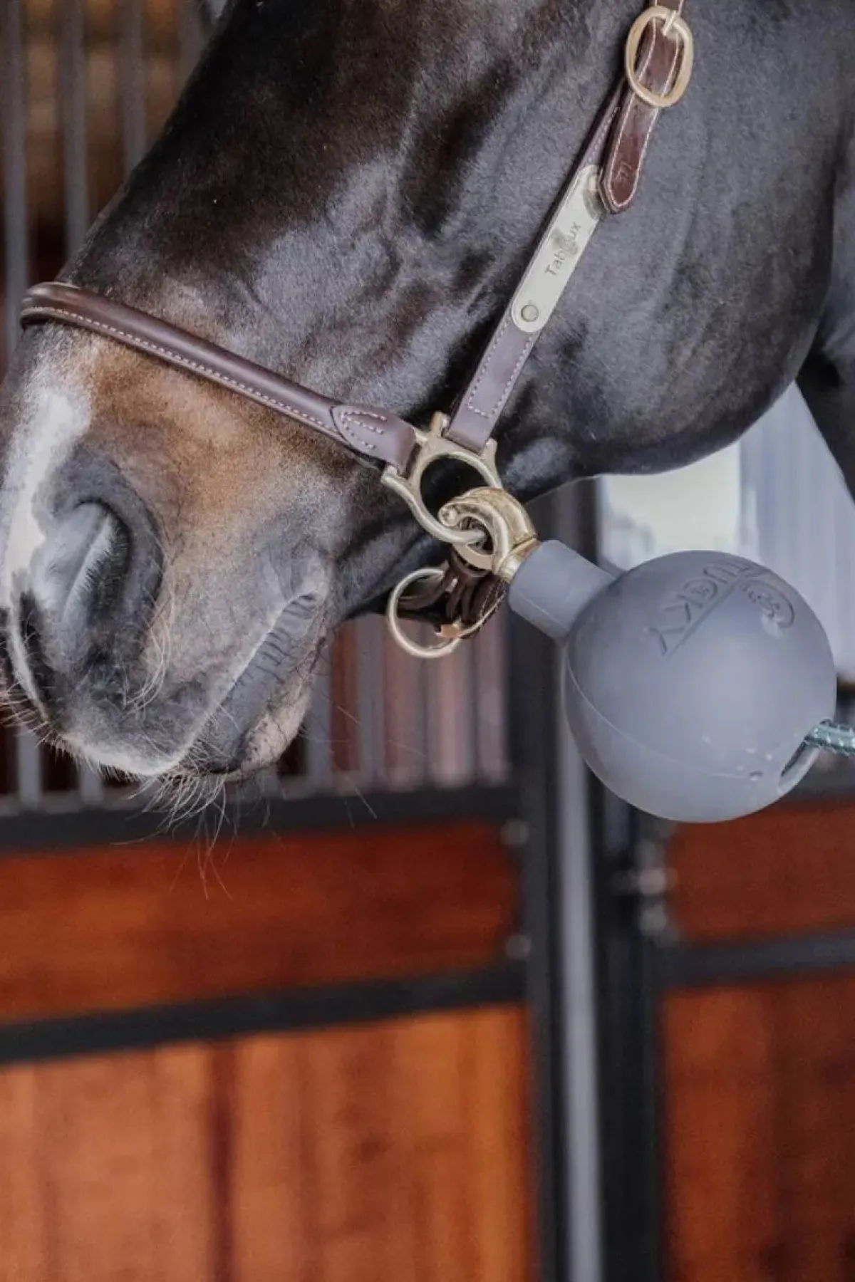 Kentucky Lead & Wall Protection Rubber Ball< Stallutstyr