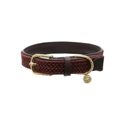 Kentucky Plaited Nylon Dog Collar< Hund