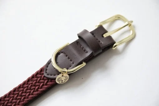Kentucky Plaited Nylon Dog Collar< Hund