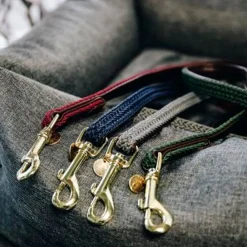 Kentucky Plaited Nylon Dog Lead< Hund