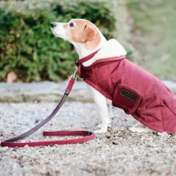 Kentucky Plaited Nylon Dog Lead< Hund