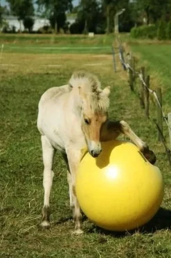 Heimer Maximus lekeball 100cm< Hesteleker