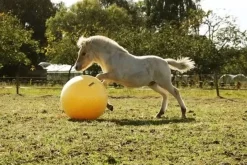 Heimer Maximus lekeball 75cm< Hesteleker