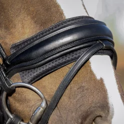 QHP Nesebånd pute i Air mesh< Tilbehør Til Hodelag