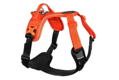 Non-stop Dogwear Ramble Harness Hundesele - Orange/Black< Hund