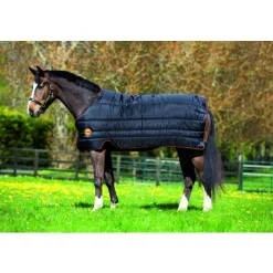 Horseware Ireland Rambo Ionic Liner 100g< Linere