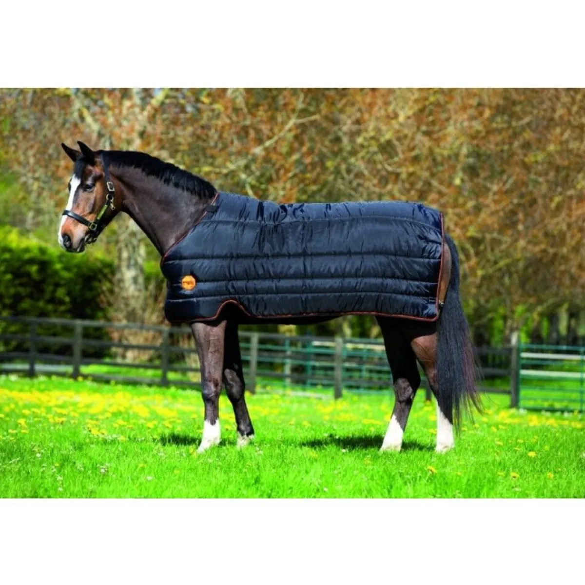 Horseware Ireland Rambo Ionic Liner 100g< Linere