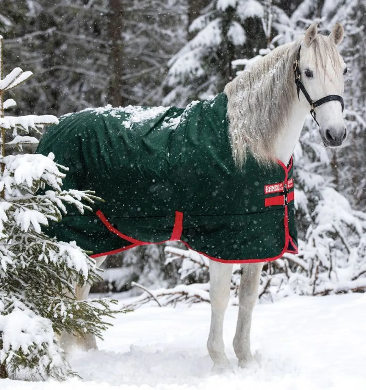 Horseware Ireland Rambo Original 400gr< Regndekken