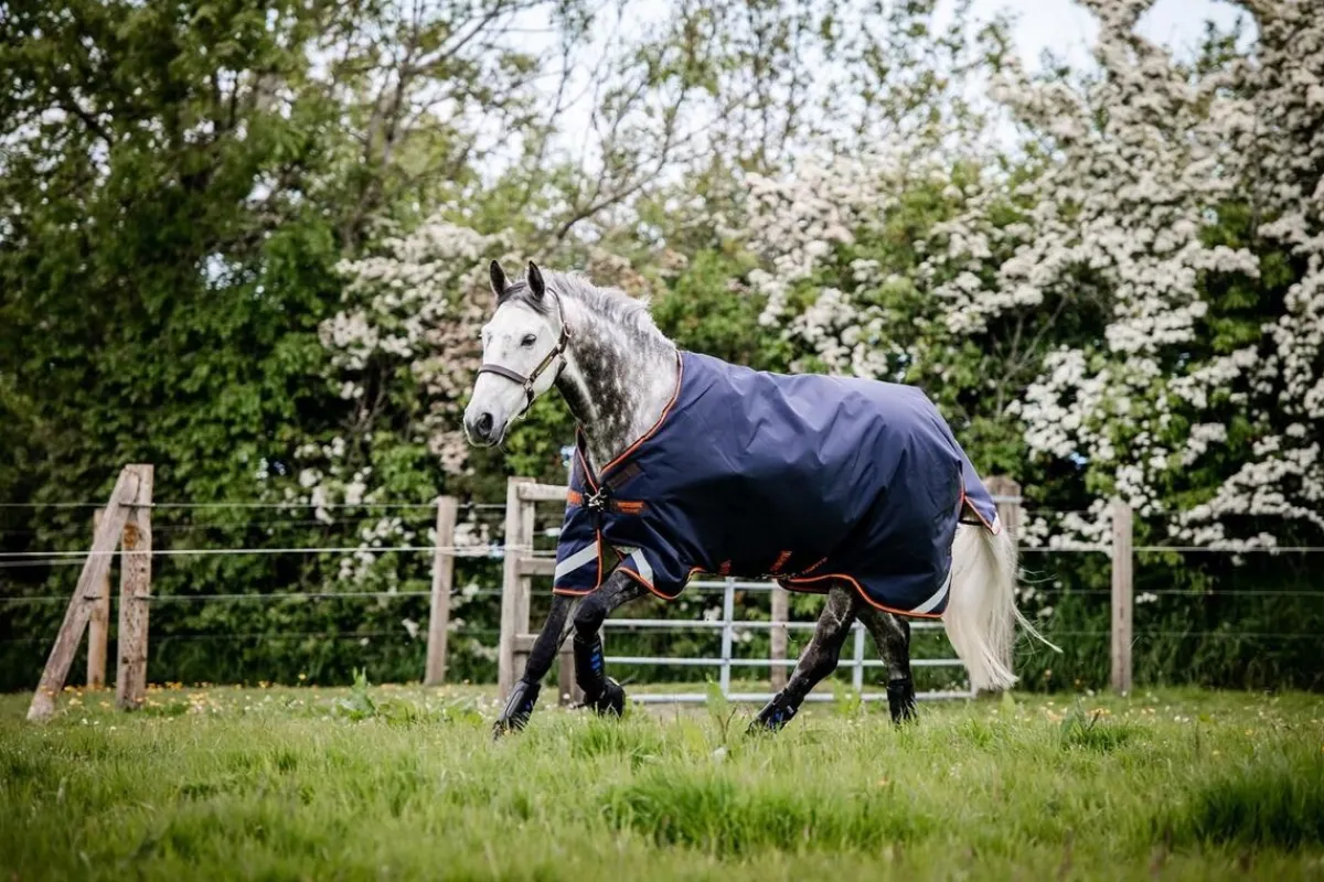 Horseware Ireland Rambo Original With Leg Arches 100g< Regndekken