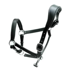 Skoies SE Boston lærgrime< Lærgrimer