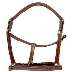 Skoies SE Chicago lærgrime< Lærgrimer