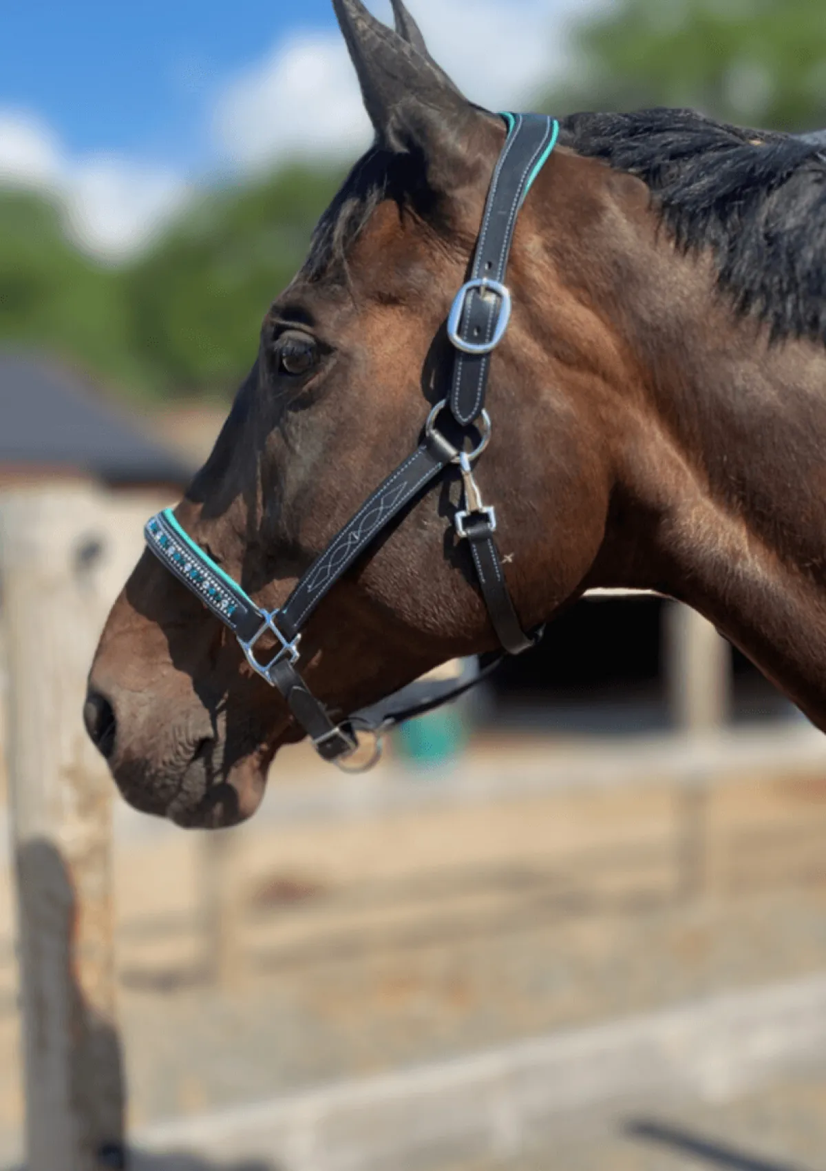 Skoies Komfort Shine Lærgrime< Lærgrimer