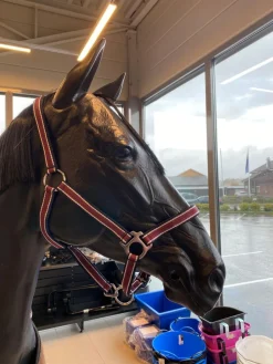 Skoies soft webgrime< Nylongrimer