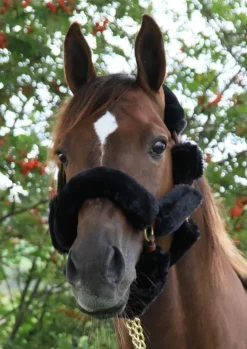 Skoies Syntetisk Saueskinn Sett - Sort< Transport Grimer