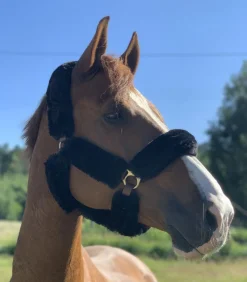 Skoies Syntetisk Saueskinn Sett - Sort< Transport Grimer