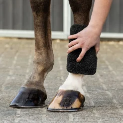 QHP Super Shiner Svamp< Tilbehør Til Striglekassen