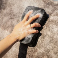 QHP Super Shiner Svamp< Tilbehør Til Striglekassen