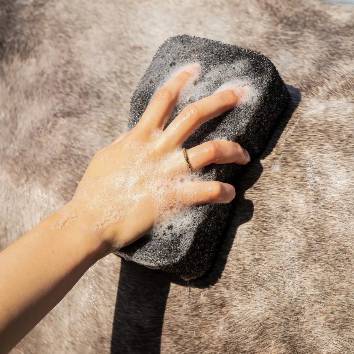 QHP Super Shiner Svamp< Tilbehør Til Striglekassen