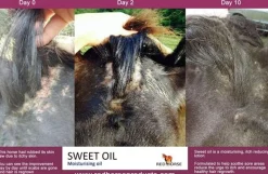 Red Horse Products Sweet Oil - 500ml< Pelspleie