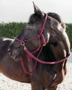 QHP Taugrime med tøyler< Taugrimer