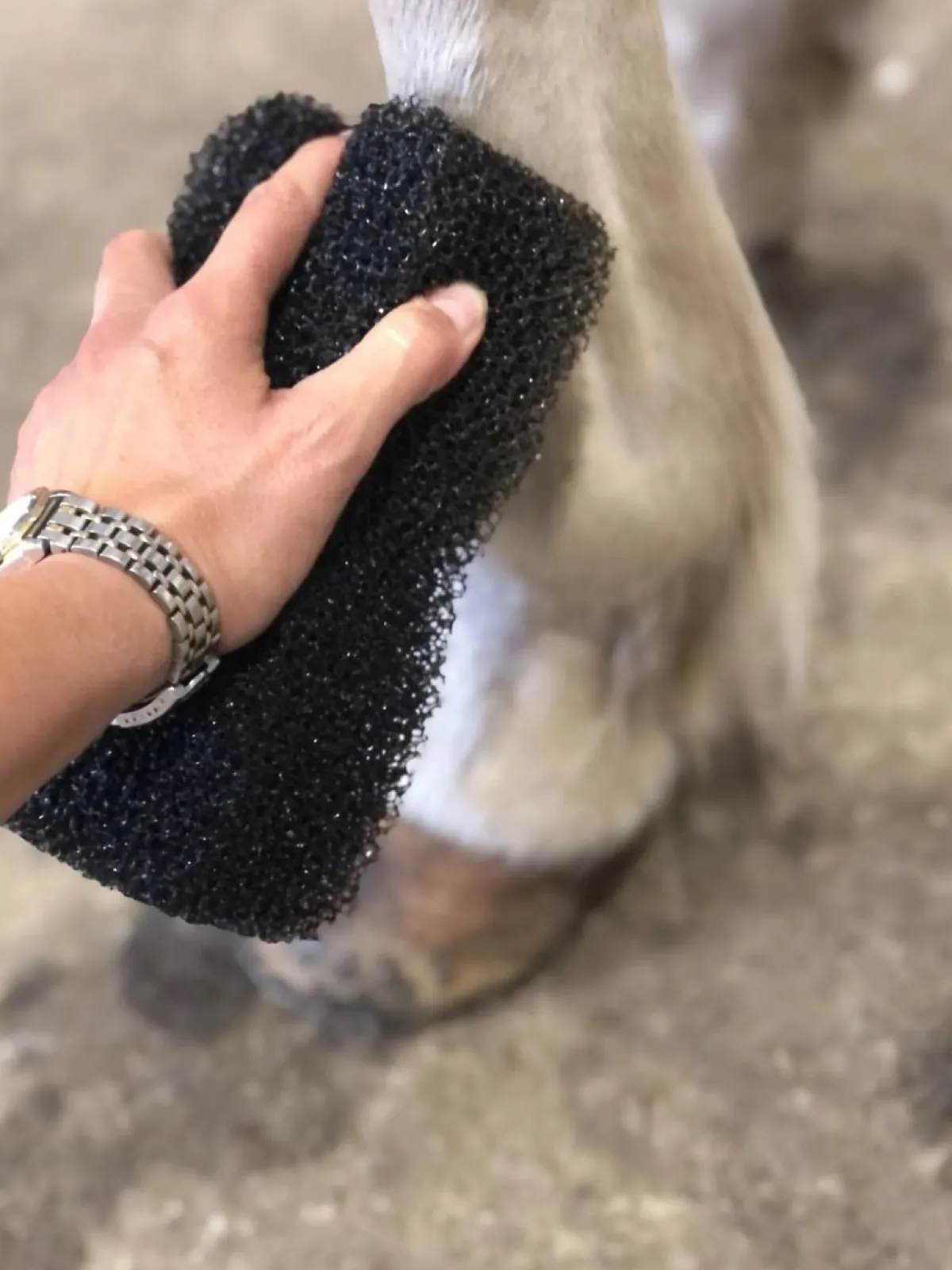 Heimer Tiger's Tounge< Tilbehør Til Striglekassen