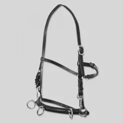 Top Reiter Caveson Longeringshodelag< Longering