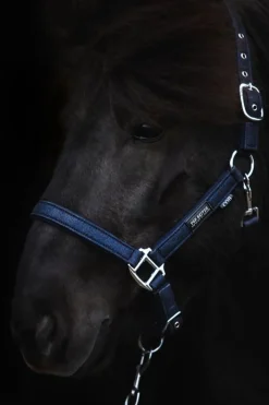 Top Reiter Glitrandi Grimesett - Blå< Nylongrimer