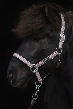 Top Reiter Glitrandi Grimesett - Rosa< Nylongrimer