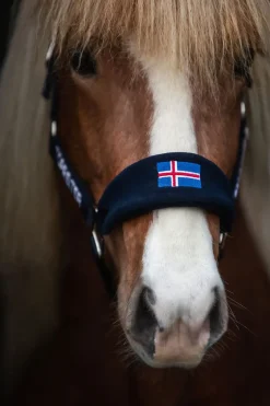 Top Reiter Klaki Grimesett til Islandshest - Iceland< Nylongrimer