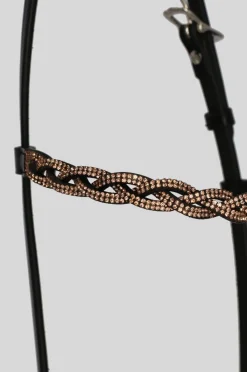 Top Reiter Nakkereim Fletta< Islandshest Hodelag